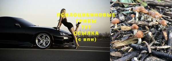 a pvp Волоколамск