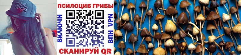 Псилоцибиновые грибы Psilocybe  Павловский Посад 